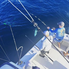 Cat Island Bahamas Sportfishing Packages