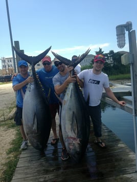 Cat Island Bahamas Sportfishing Packages