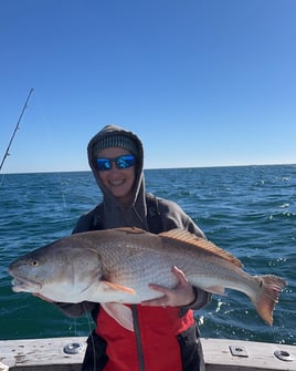 Inshore Fishing Trip