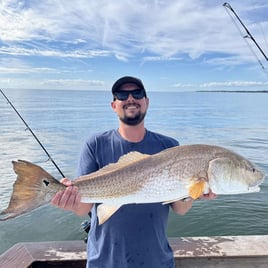 Inshore Fishing Trip