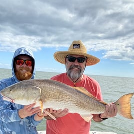 Inshore Fishing Trip