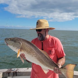 Inshore Fishing Trip