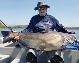 Blue Catfish Fishing in Chattanooga, Tennessee