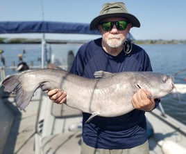 Blue Catfish Fishing in Chattanooga, Tennessee