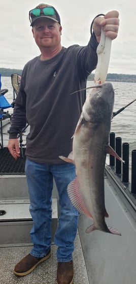 Blue Catfish Fishing in Chattanooga, Tennessee