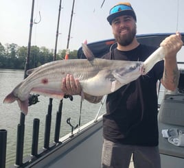 Blue Catfish Fishing in Chattanooga, Tennessee