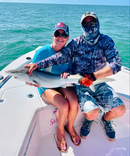 Shark Fishing Gulf of Mexico