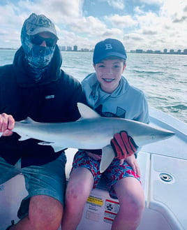 Shark Fishing Gulf of Mexico