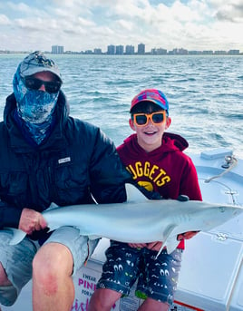 Shark Fishing Gulf of Mexico