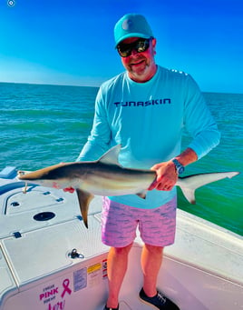 Shark Fishing Gulf of Mexico