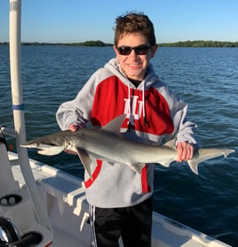 Shark Fishing Gulf of Mexico