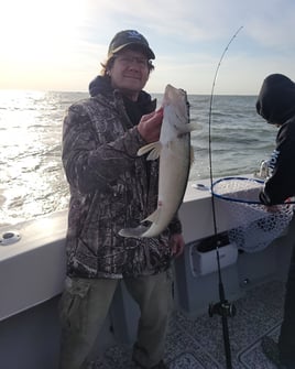 Oak Harbor Ohio - Lake Erie Walleye Charters