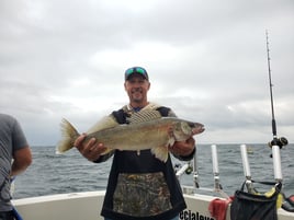 Oak Harbor Ohio - Lake Erie Walleye Charters