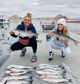 Striped Bass Fishing in Supai, Arizona