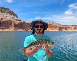 Lake Powell Fishing Trips