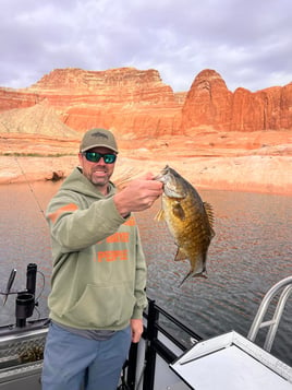 Lake Powell Fishing Trips