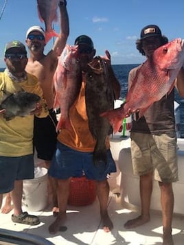 Red Snapper, Scamp Grouper, Triggerfish Fishing in Edisto Island, South Carolina