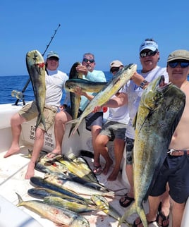 Mahi Mahi Fishing in Edisto Island, South Carolina