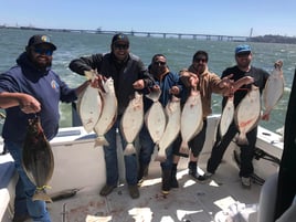 Halibut / Striper March - September