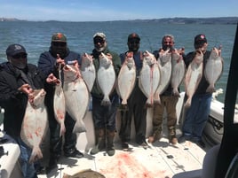 Halibut / Striper March - September