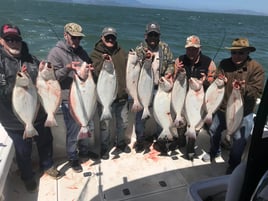 Halibut / Striper March - September