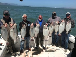 Halibut / Striper March - September