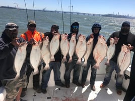 Halibut / Striper March - September