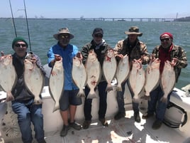 Halibut / Striper March - September