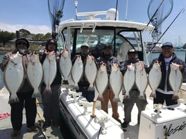 Halibut / Striper March - September