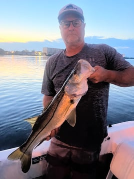 Snook Fishing in Port Orange, Florida