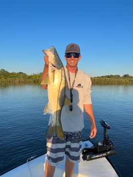 Snook Fishing in Port Orange, Florida