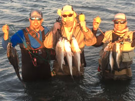 Redfish, Speckled Trout Fishing in Galveston, Texas