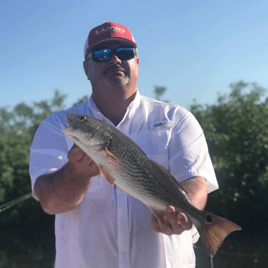 Bonita Spring Fishing Charters