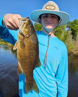 Walleye or Smallmouth Bass - Half Day Trip