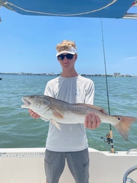 Redfish Fishing in Clearwater, Florida