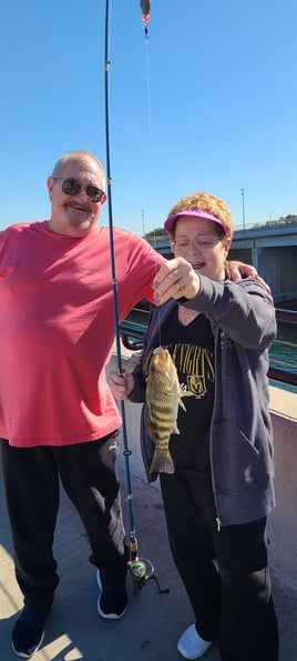 PIER FISHING ADVENTURES