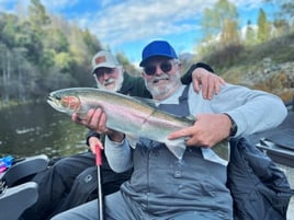 Steelhead in the Trinity River