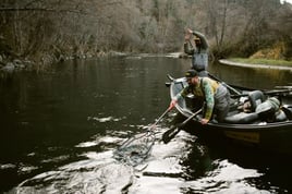 Steelhead in the Trinity River