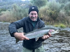 Steelhead in the Trinity River