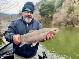 Steelhead in the Trinity River