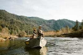 Steelhead in the Trinity River