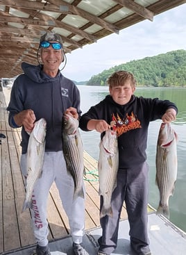 Striped Bass Fishing in Albany, Kentucky