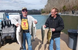 Striped Bass Fishing in Albany, Kentucky