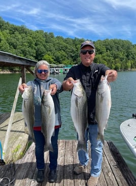 Striped Bass Fishing in Albany, Kentucky