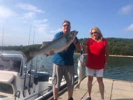 Striped Bass on beautiful Beaver Lake in NW Arkansas.