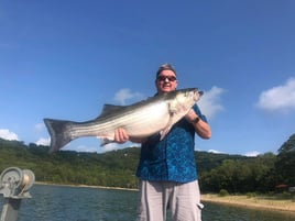 Striped Bass on beautiful Beaver Lake in NW Arkansas.