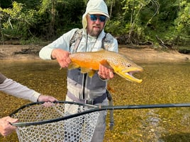 Cutthroat Trout Fishing in Eureka Springs, Arkansas