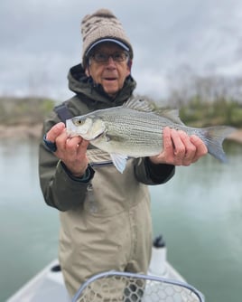 Fly fishing Eureka Springs, AR