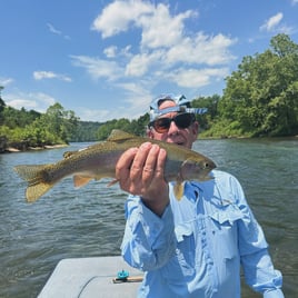 Fly fishing Eureka Springs, AR