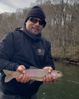 Rainbow Trout Fishing in Sevierville, Tennessee